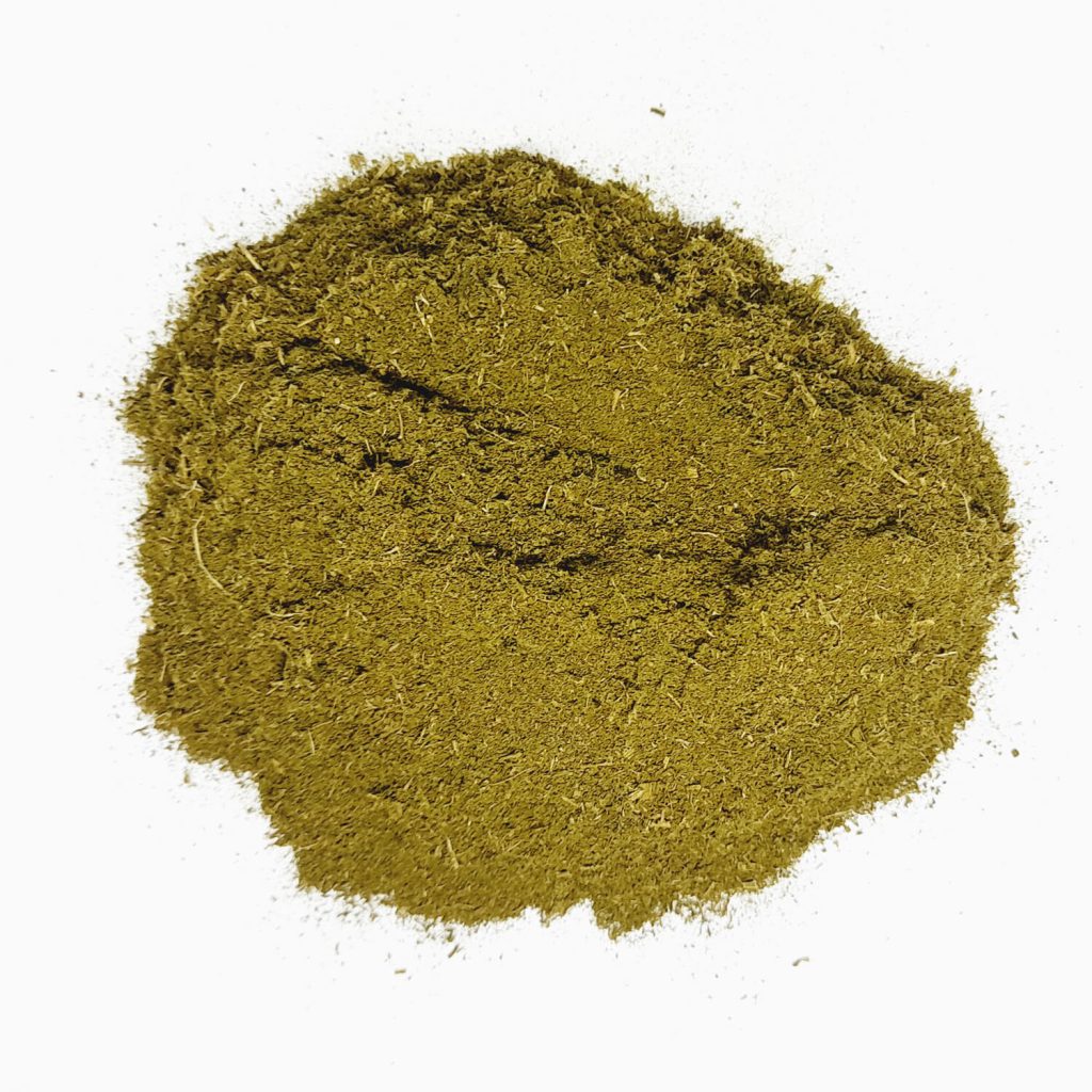 bellyache bush leaf powder