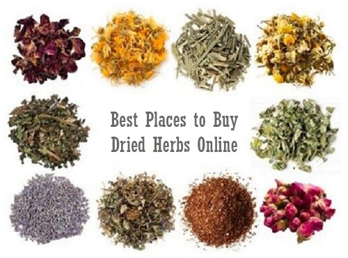 Best Places To Buy Dried Herbs Online