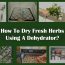 How To Dry Fresh Herbs Using A Dehydrator