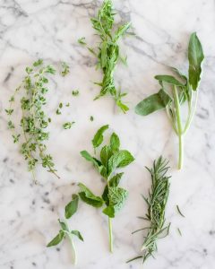 Step 1 Selecting and Preparing Your Herbs